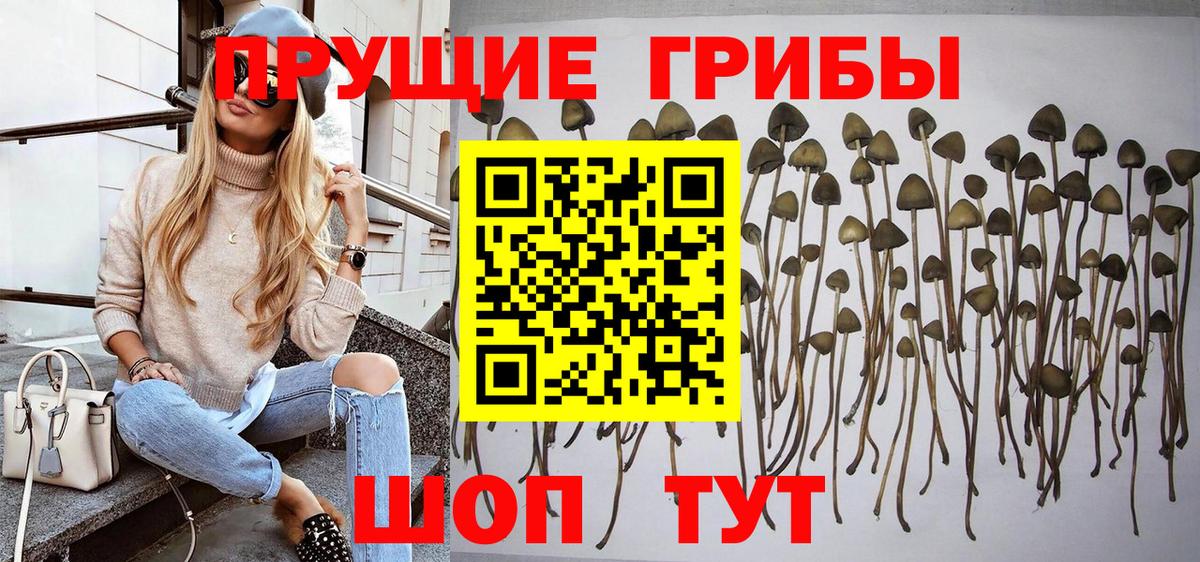 Псилоцибиновые грибы ЛСД Урай